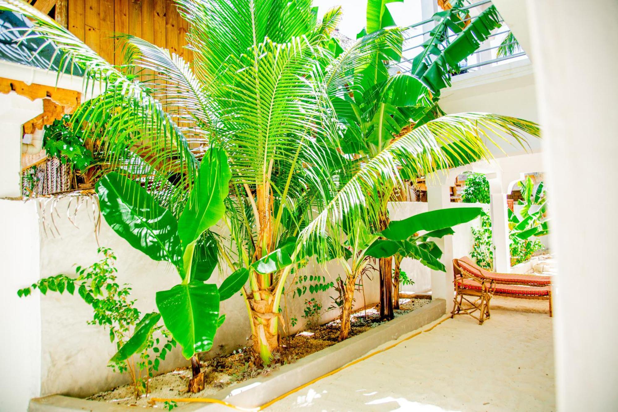 Pamoja Beach Stays Hotel In Jambiani Jambiani  Exteriör bild